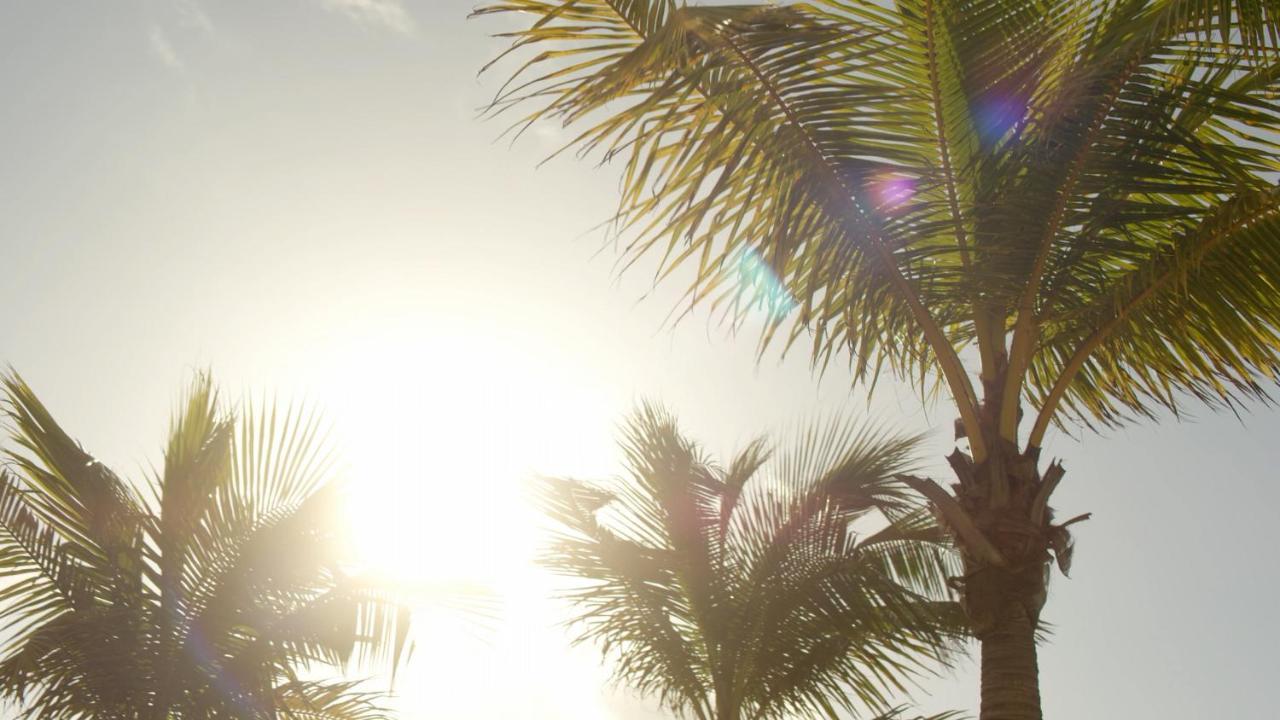 Secrets Riviera Cancun Resort & Spa (Adults Only) 푸에르토 모렐로스 외부 사진